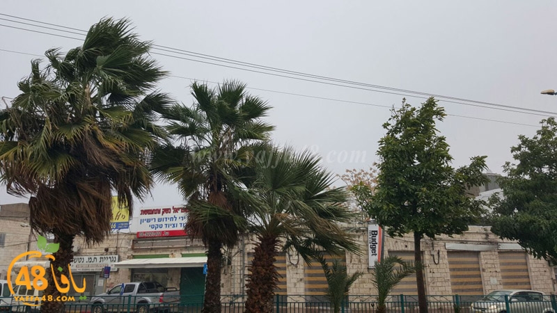 weather sea yaffa (3).jpg